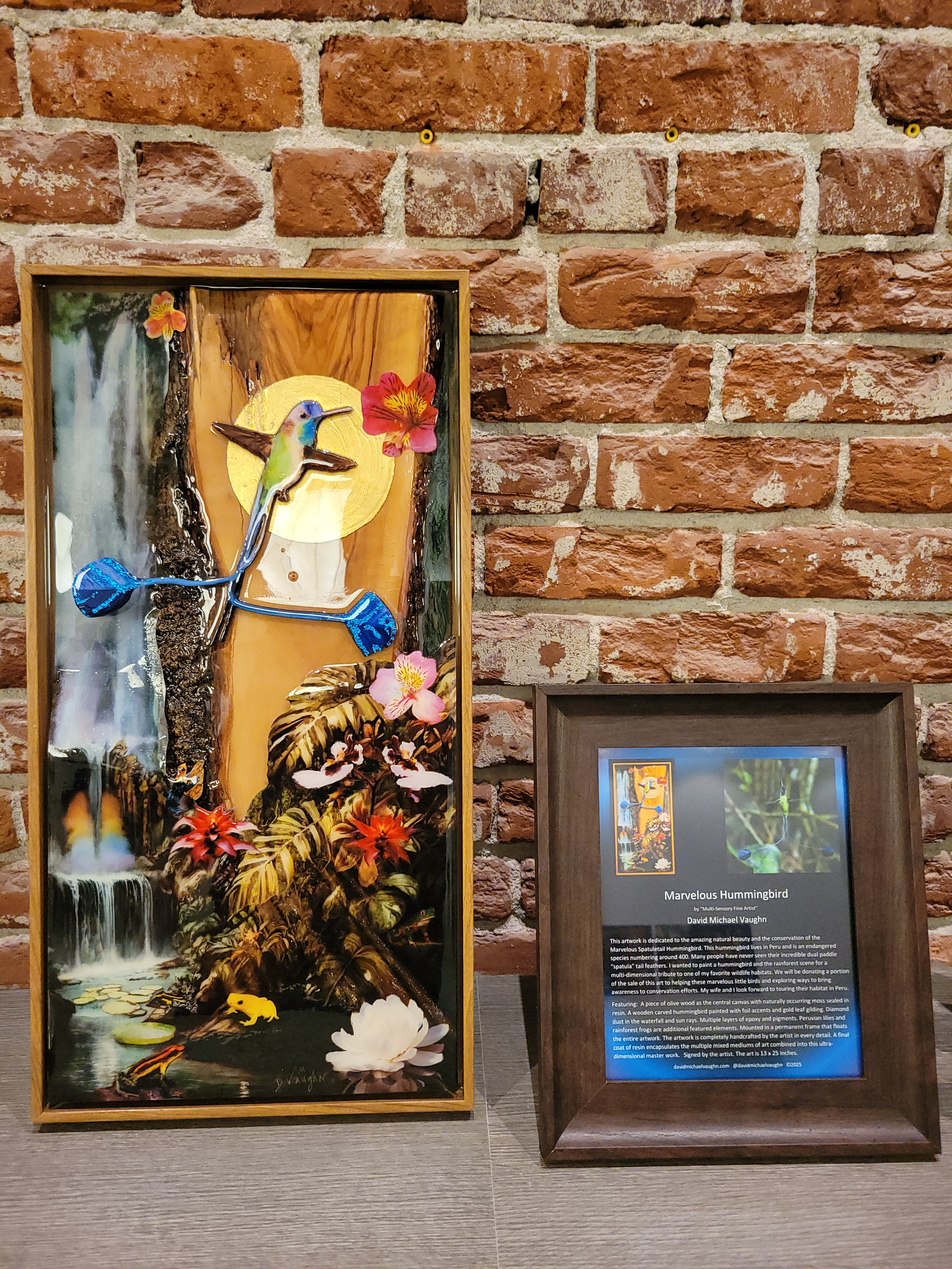 Marvelous Hummingbird